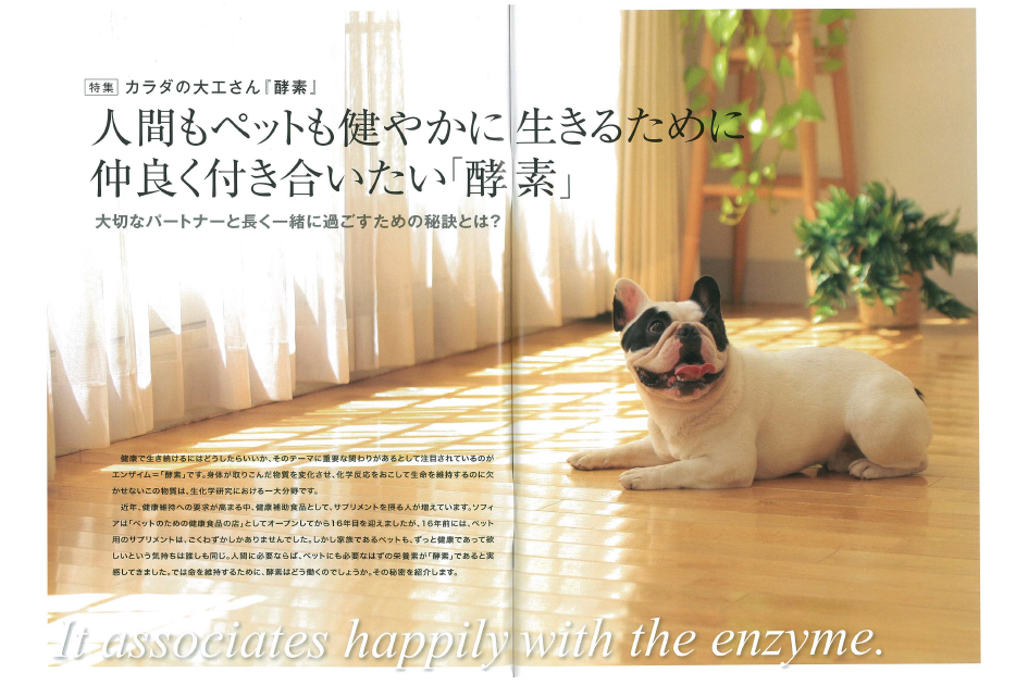 Public advertisement“Dog food catalogue”